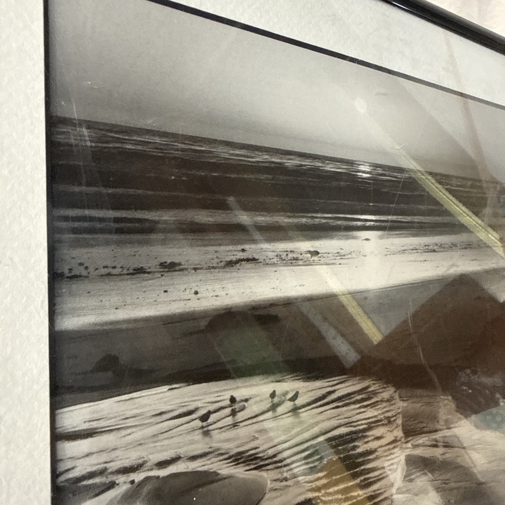 Ansel Adams Birds on a Beach Evening Framed Framed 1966 Photo 12x14 Wall Art VTG - Picture 7 of 15